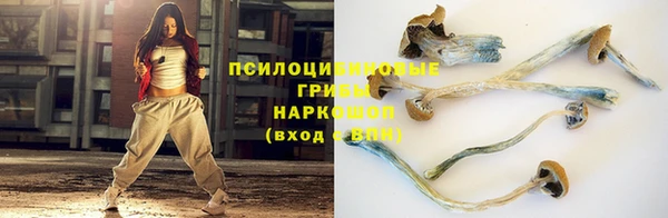 винт Россошь