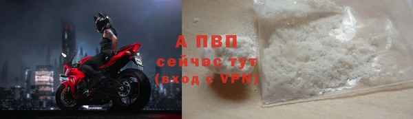 PSILOCYBIN Ростов