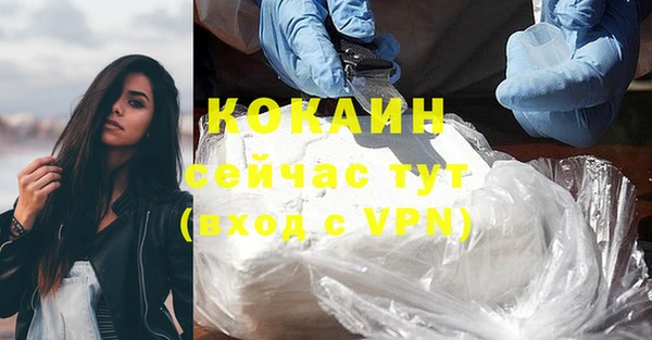 PSILOCYBIN Ростов