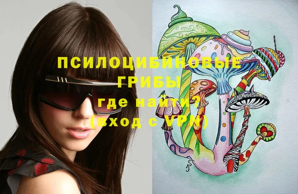 PSILOCYBIN Ростов