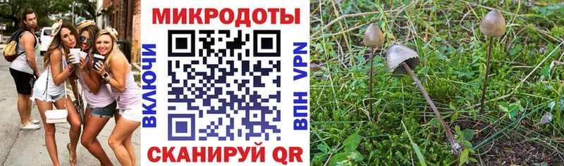 Псилоцибиновые грибы GOLDEN TEACHER  Тюмень 