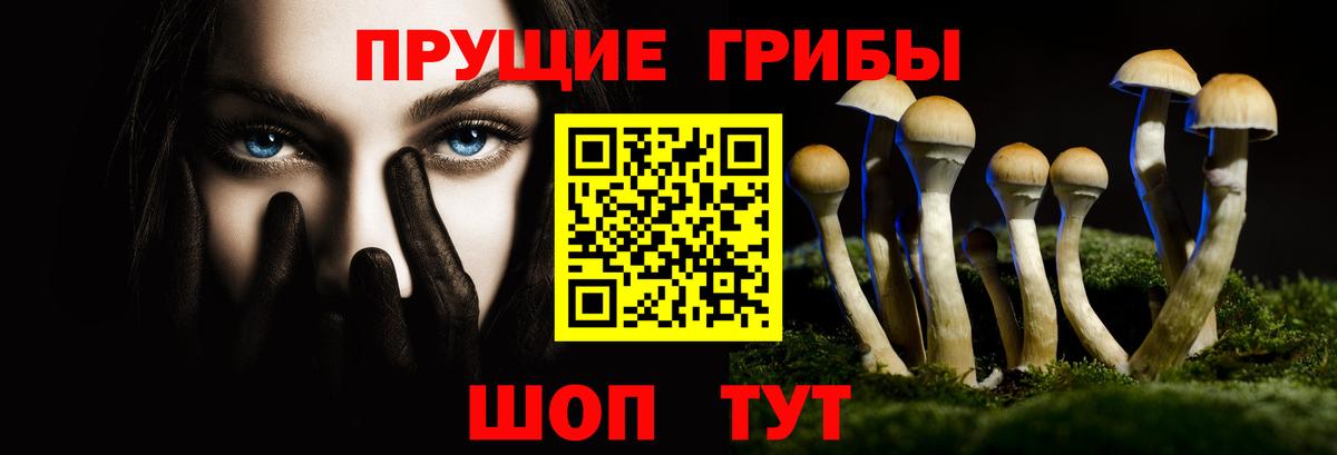 Псилоцибиновые грибы мицелий Тюмень