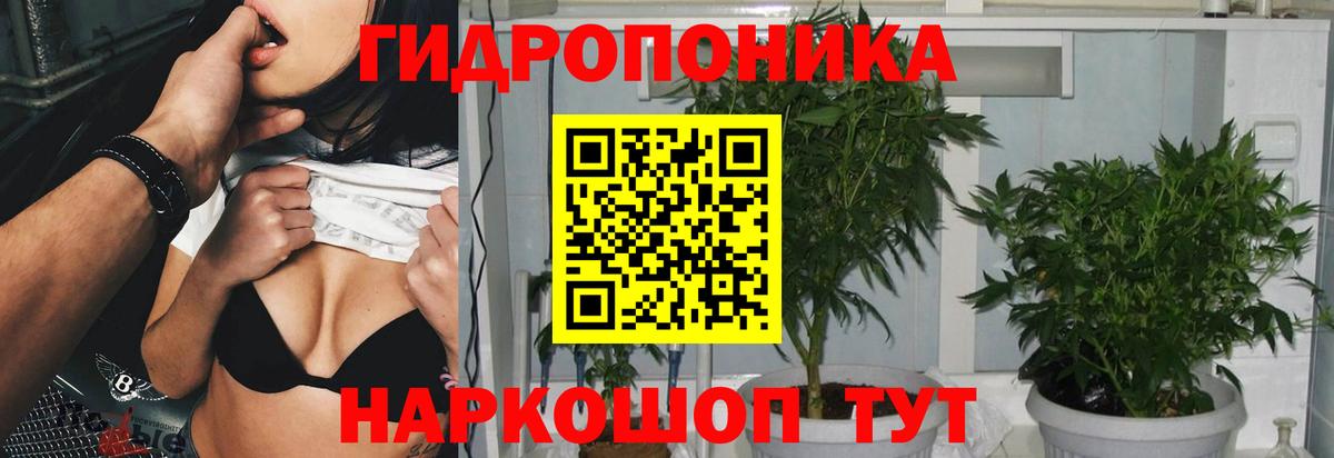Тюмень  Бошки марихуана MAZAR  Бошки Шишки SATIVA & INDICA  Марихуана план  Вход с VPN 